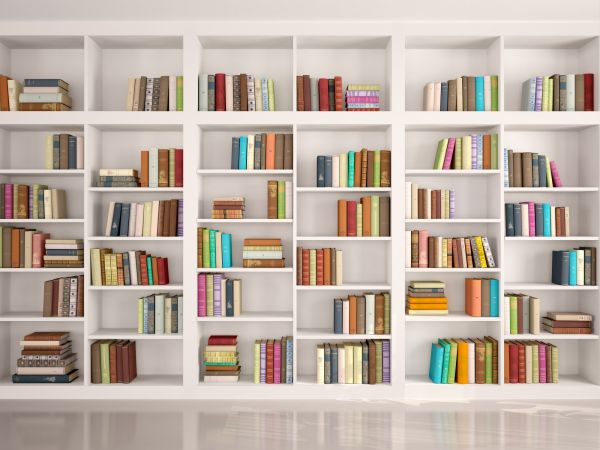 Bookshelf Assembly in Reading